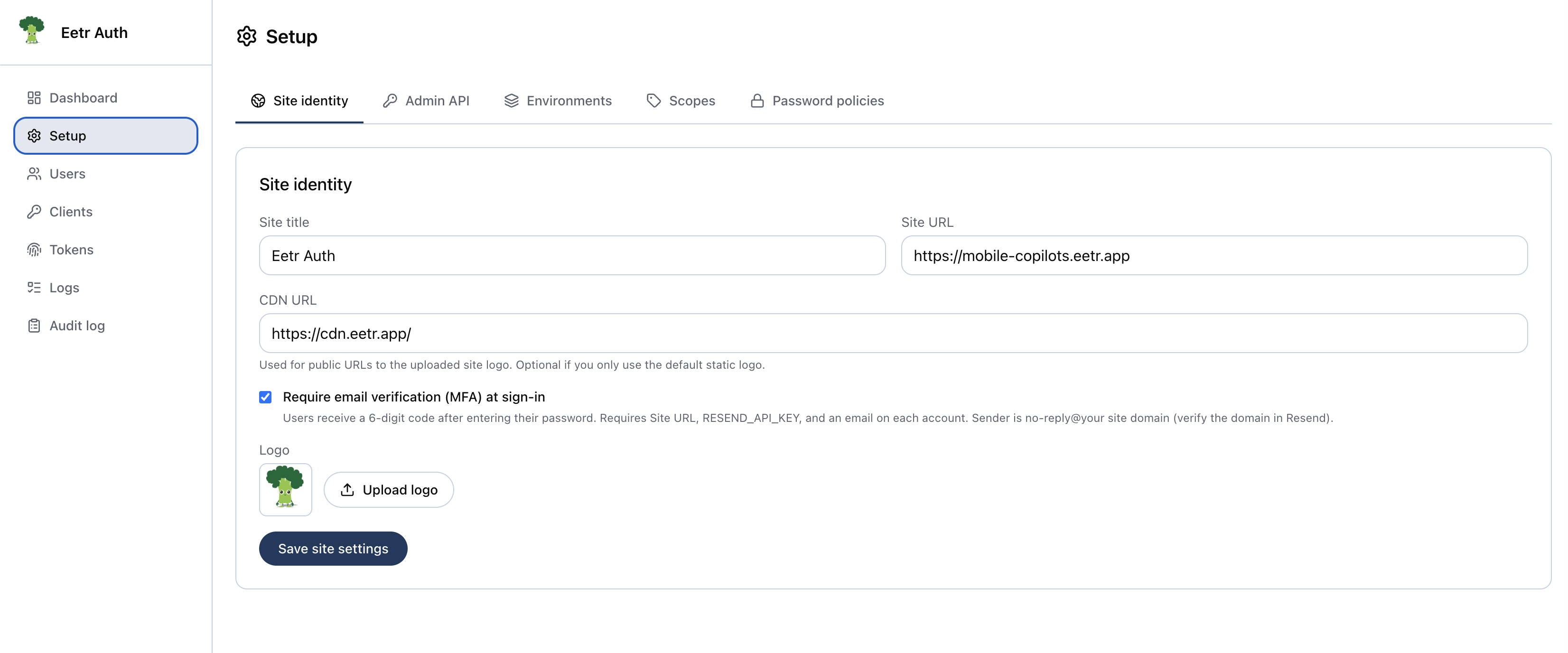 Dashboard Setup page, Site identity tab, with site title, site URL, CDN URL, a site-wide email MFA toggle, and logo upload